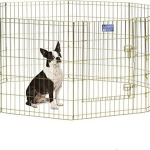 MidWest Foldable Metal Dog Exercise Pen / Pet Playpen, Gold zinc w/ door